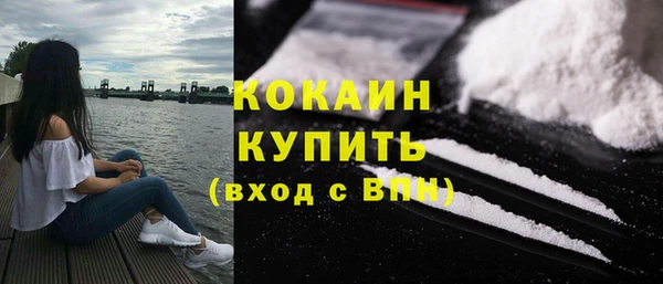 прущие грибы Кинешма