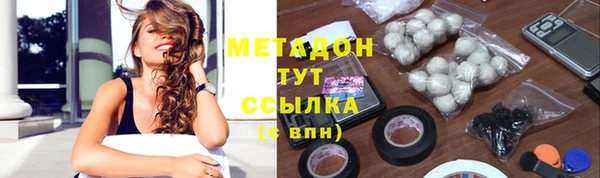 прущие грибы Кинешма