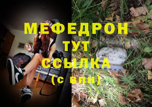 прущие грибы Кинешма