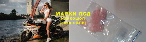 прущие грибы Кинешма