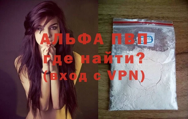 прущие грибы Кинешма