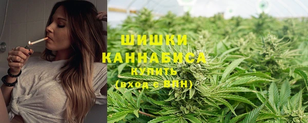 мяу мяу мука Сосновоборск