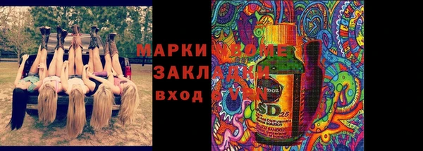 прущие грибы Кинешма