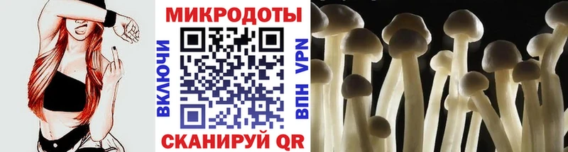Галлюциногенные грибы MAGIC MUSHROOMS Купить Канск